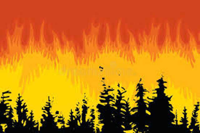 Stato di massima pericolosità per incendi boschivi. 