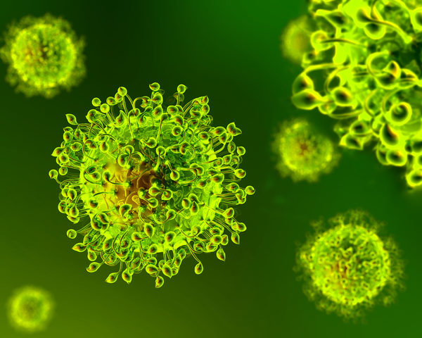 Emergenza Coronavirus - Bollettino di contagio N. 2